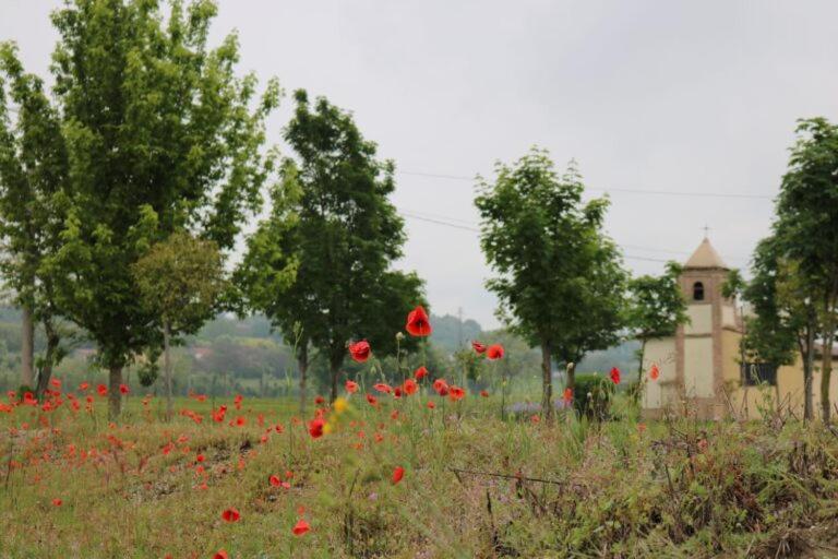 Foresto Case Vacanza Volta Mantovana Εξωτερικό φωτογραφία
